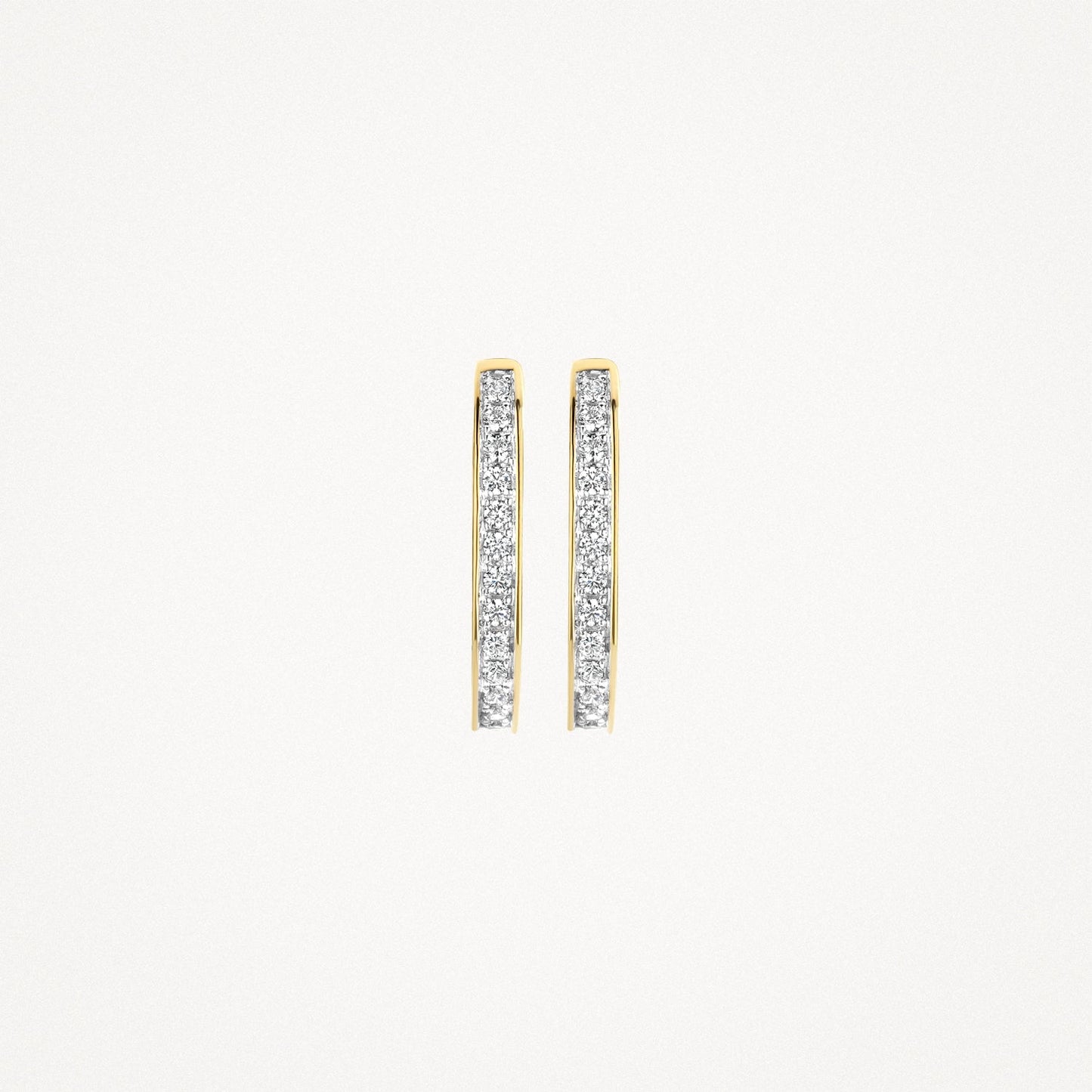 Blush Oorringen 14kt Goud 7234BZI