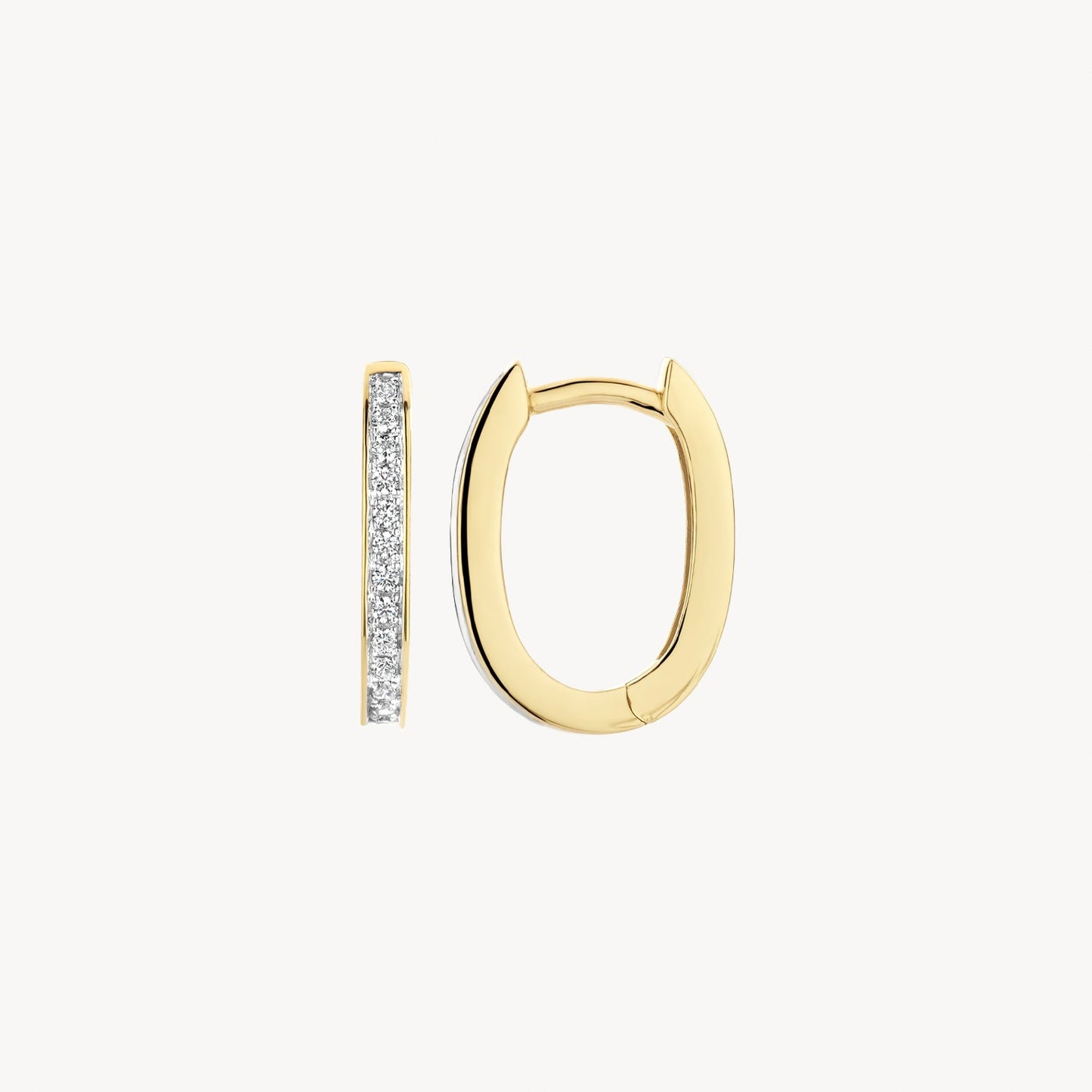 Blush Oorringen 14kt Goud 7234BZI
