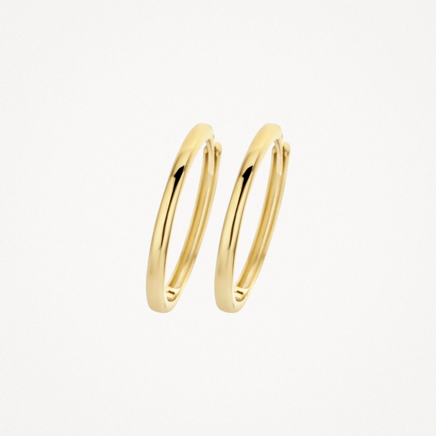 Blush Oorringen 14kt Goud 7274YGO