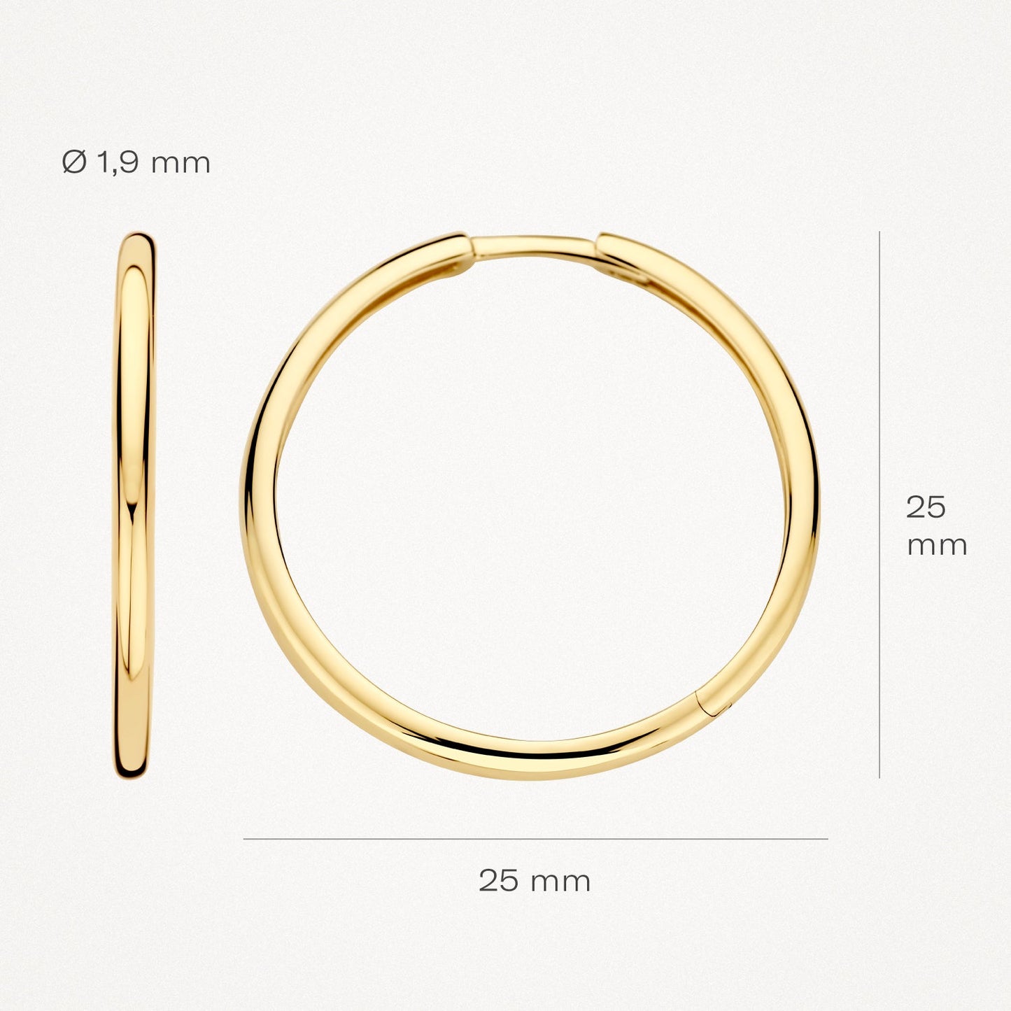 Blush Oorringen 14kt Goud 7311YGO