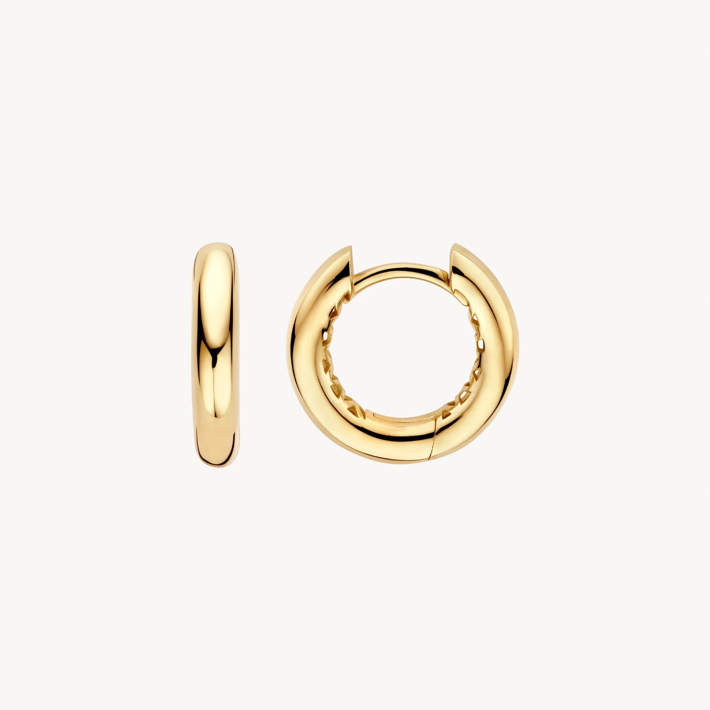 Blush Oorringen 14kt Goud LG7021Y