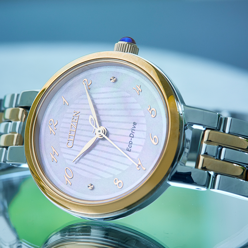 Citizen Dames Eco-Drive EM0996-84Y
