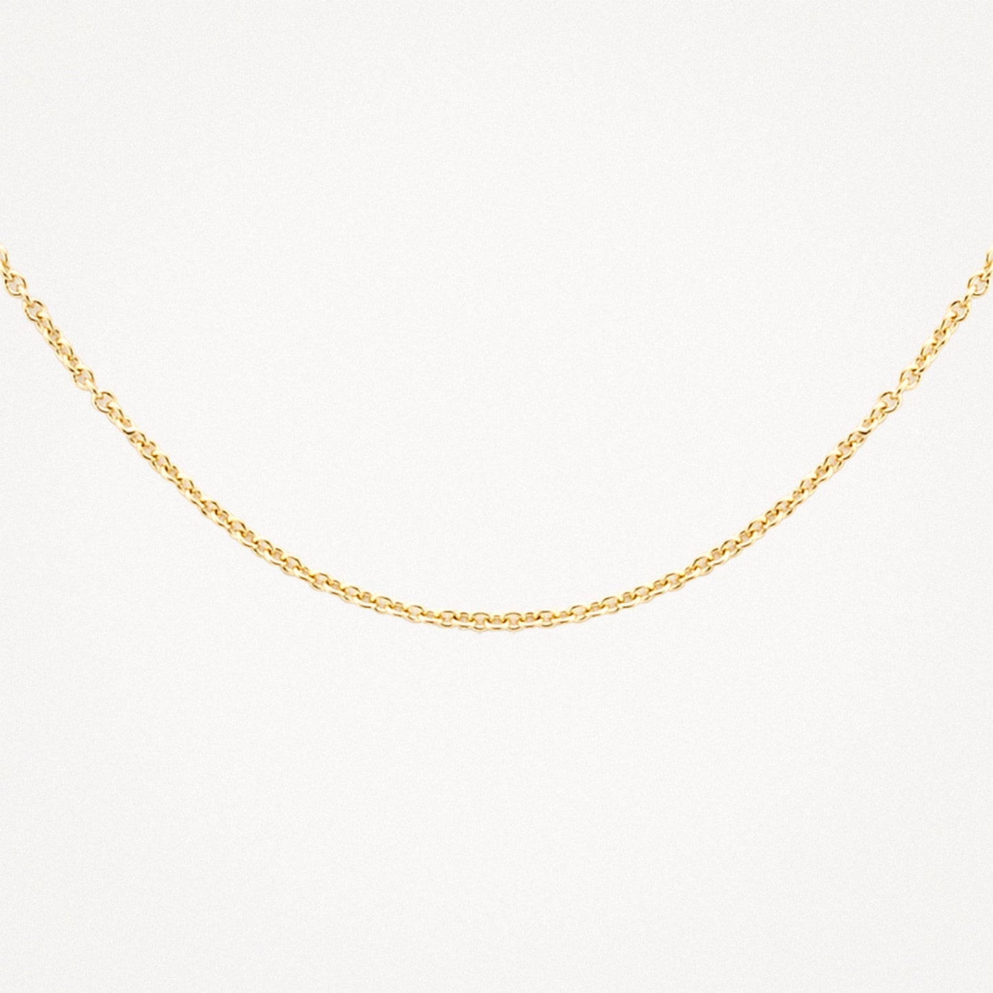 Blush Ketting 14kt Goud 3046YGO/42