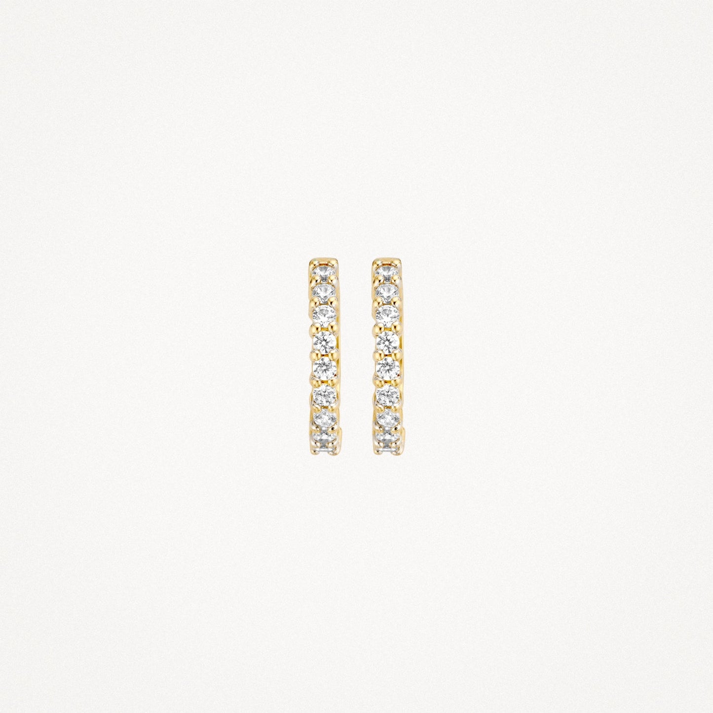 Blush Oorringen 14kt Goud 7166YZI