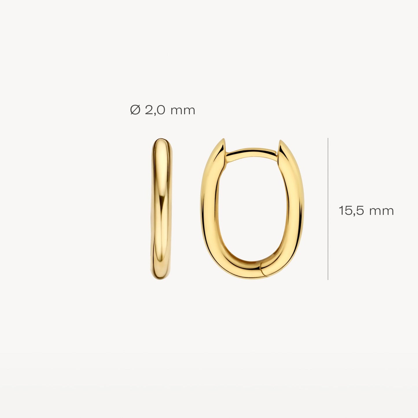 Blush Oorringen 14kt Goud 7218YGO