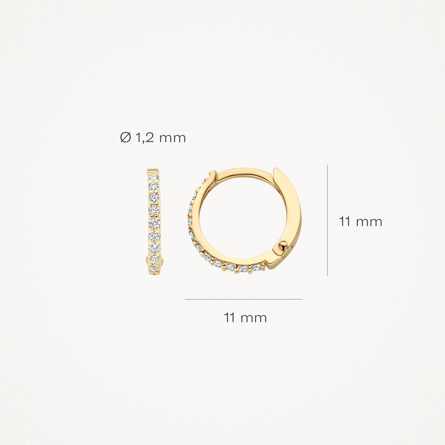 Blush Oorringen 14kt Goud 7269YZI