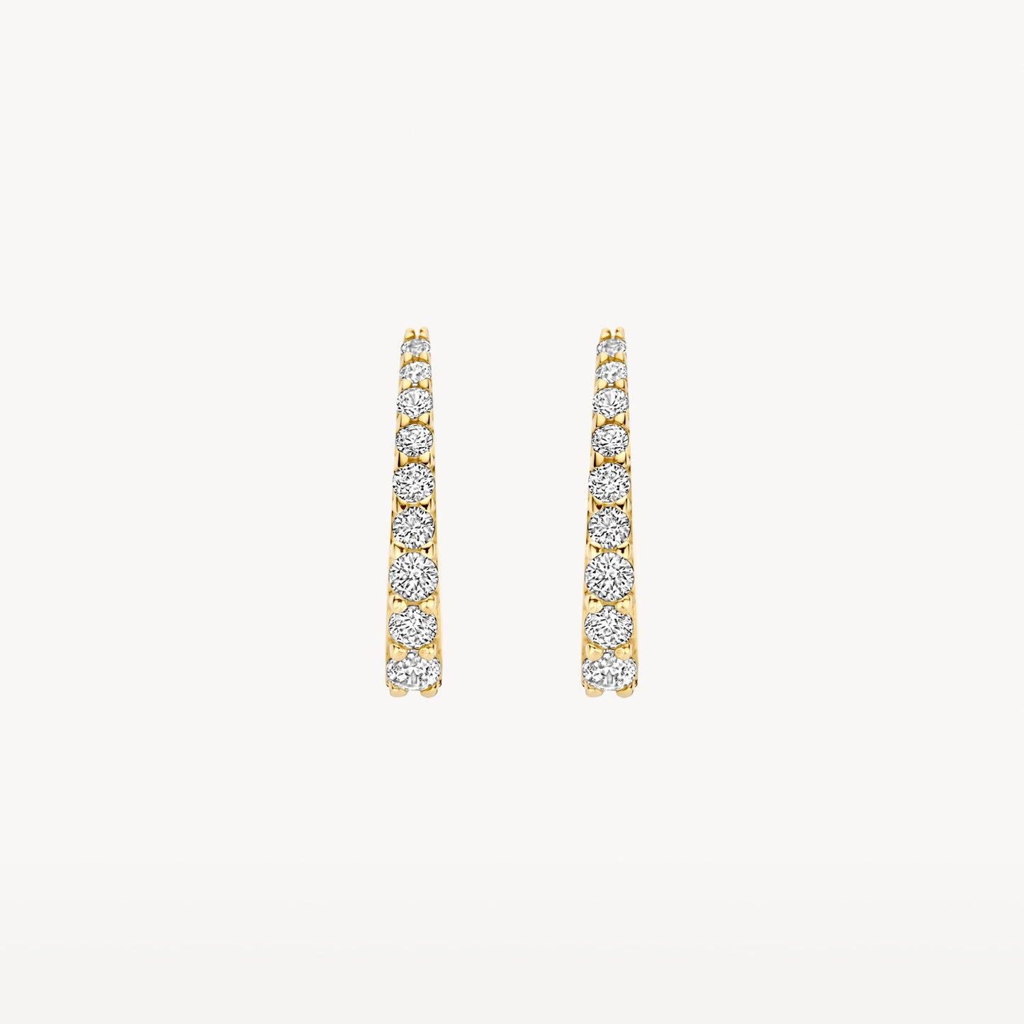 Blush Oorringen 14kt Goud 7342YZI