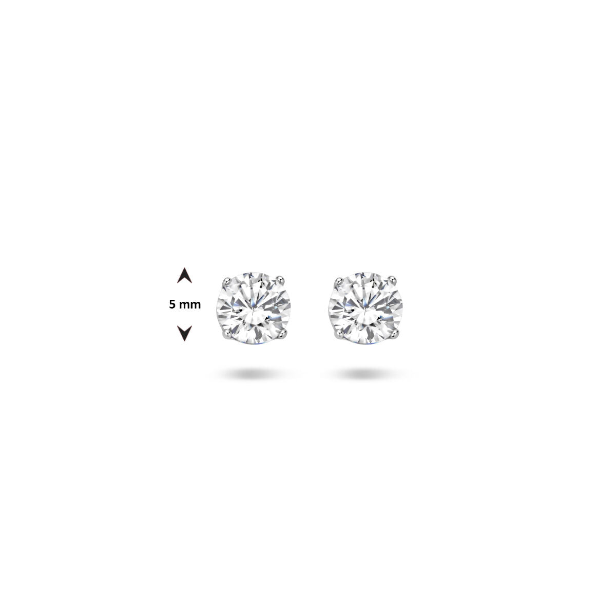 Zilveren Oorknoppen Zirkonia 5mm 1323039