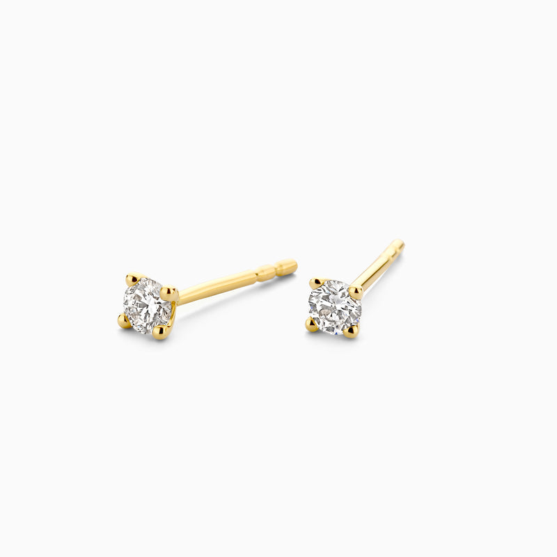 Blush Oorbellen LG7036Y