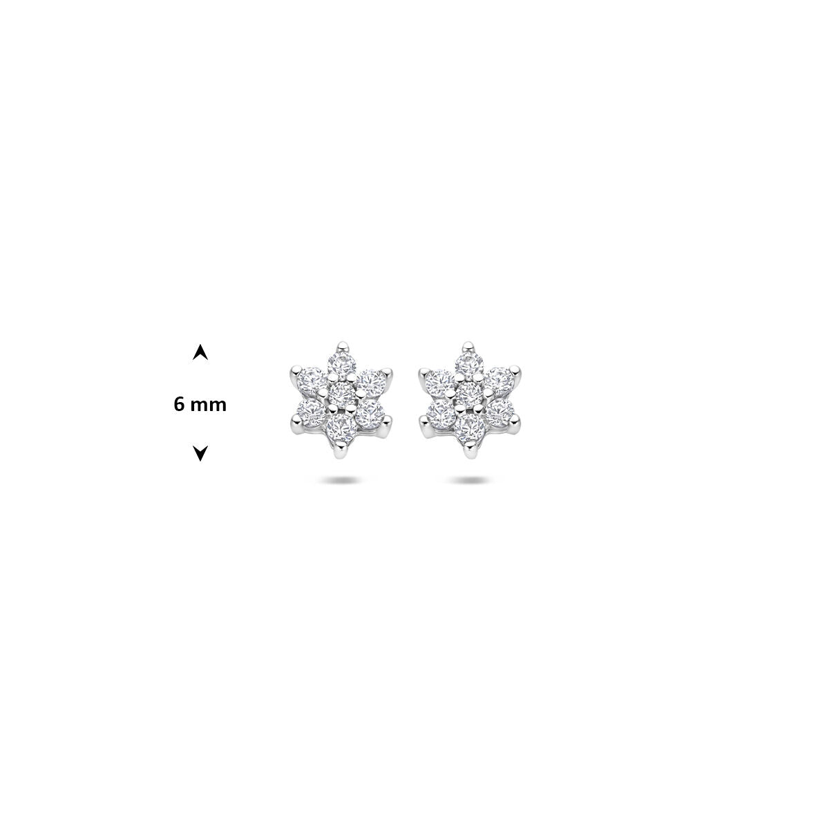 Zilveren Oorknoppen Ster Zirkonia Halo 6mm 1322016