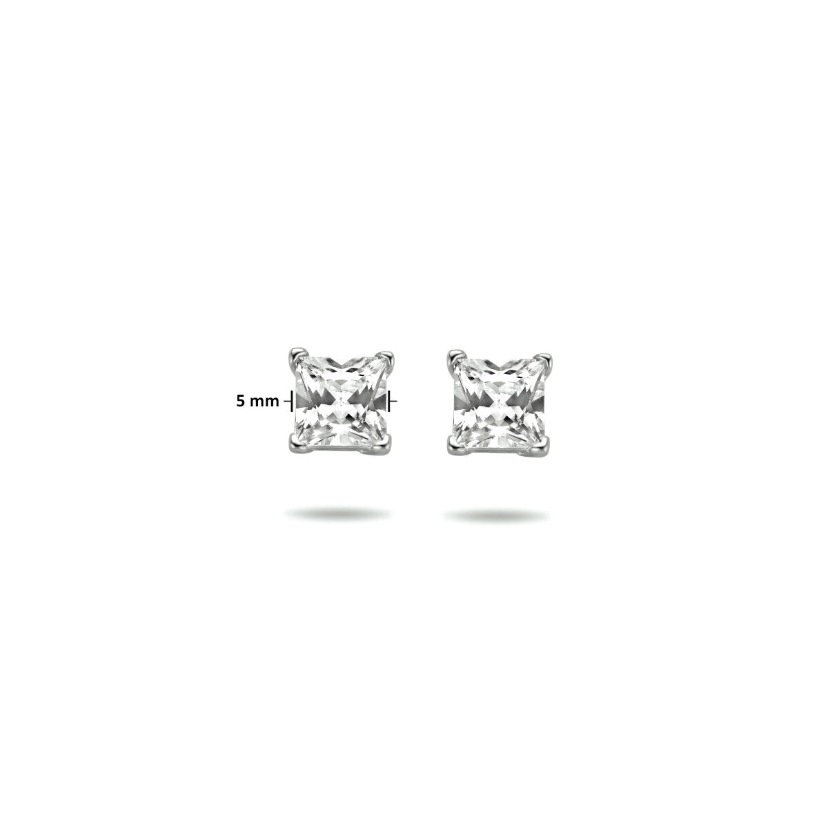 Zilveren Oorknoppen Zirkonia 5mm 1323065