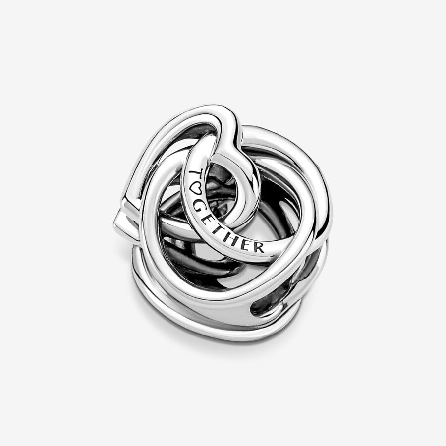 Pandora Moments Bedel Family Always Encircled Harten 791507C00